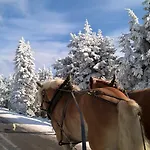 Altstadt Wernigerode