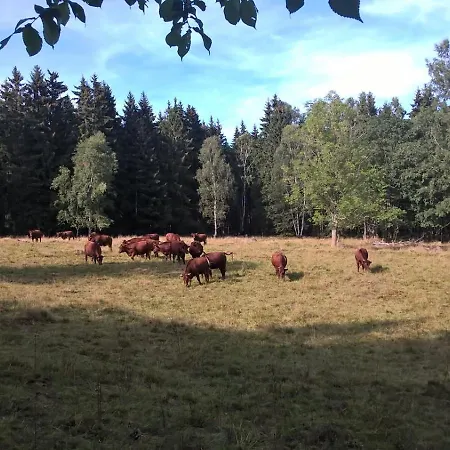 Altstadt Casa vacanze