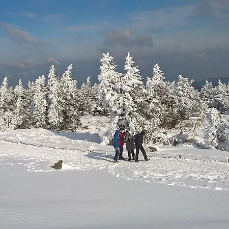 Altstadt * Wernigerode