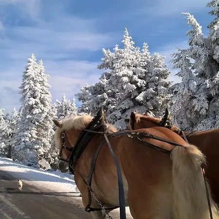 Altstadt Wernigerode