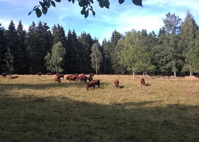 Altstadt Σπίτι διακοπών