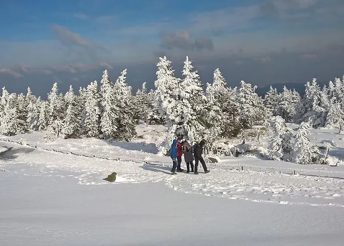 Altstadt * Wernigerode