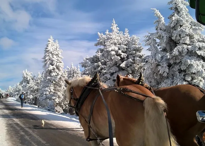 Altstadt Wernigerode